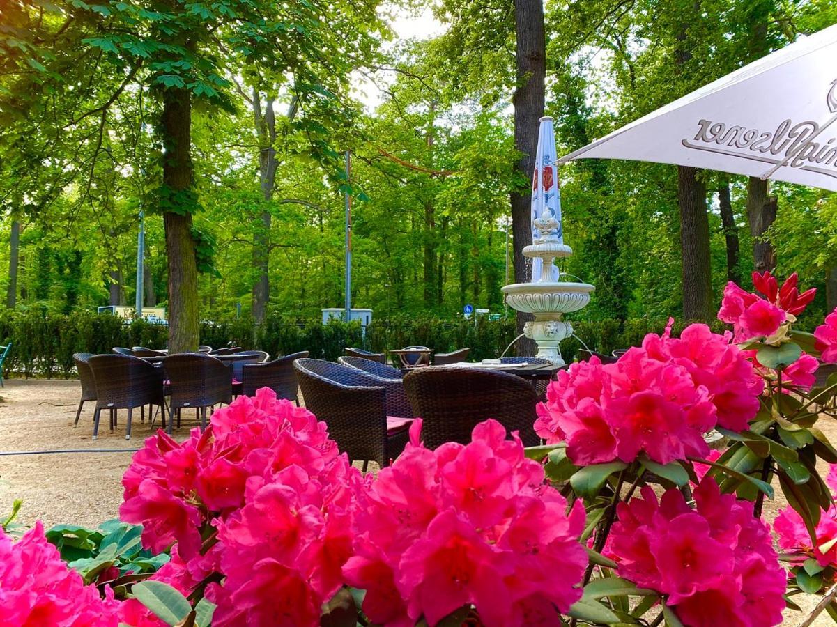Hotel Kronprinz ฟัลเคนซี ภายนอก รูปภาพ